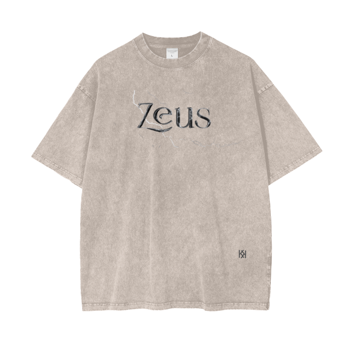 Oversize Snow Washed Zeus T-Shirt